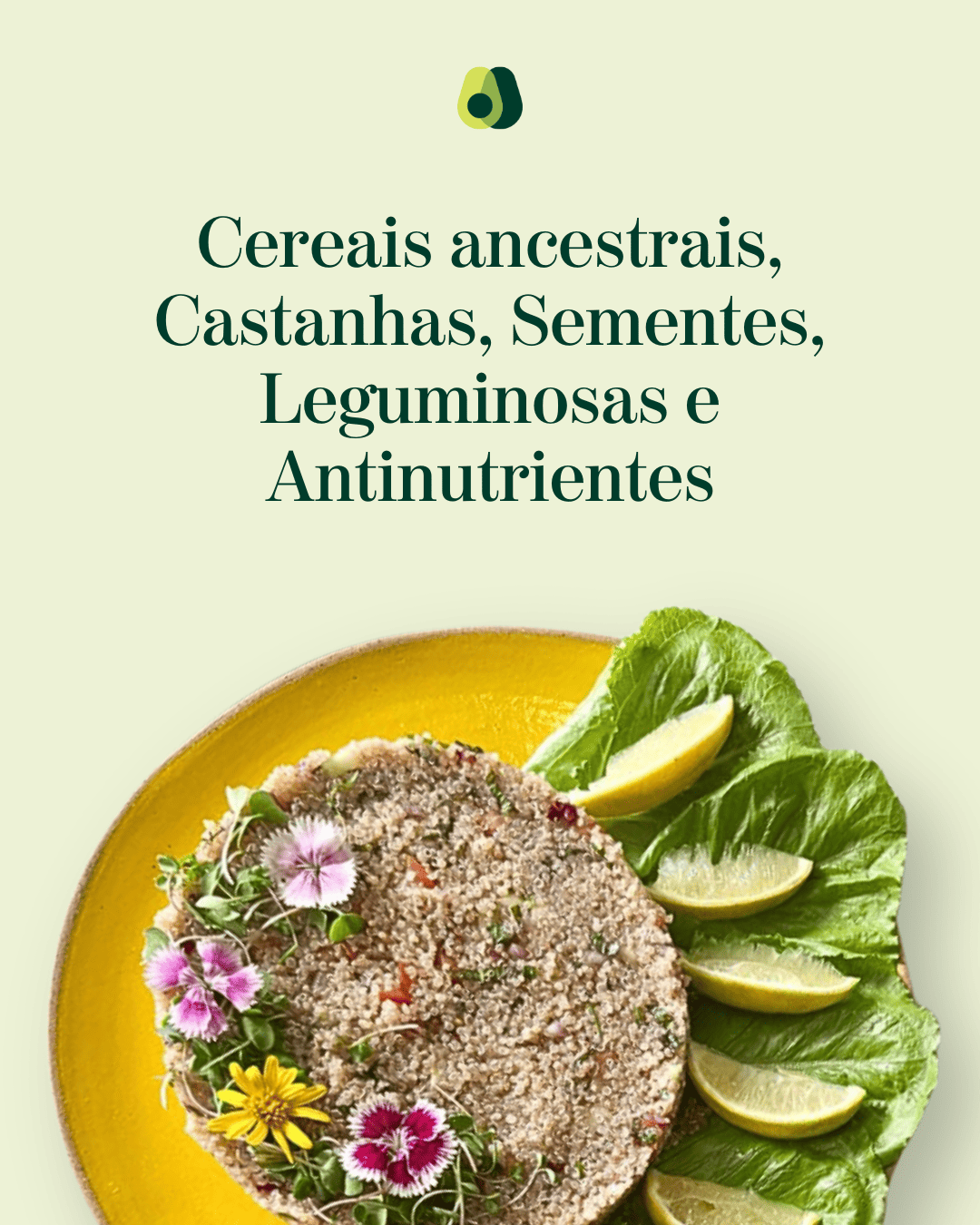 Cereais, Castanhas, Sementes e Leguminosas